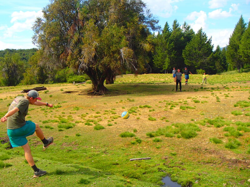 A man in a cap throws a frisbee in a grassy field. There are other people in the background, along with trees. The sky is blue with some clouds. The man is wearing a light-colored shirt, dark shorts, and sneakers. He is in the lower left corner of the image, with his arm extended as he releases the frisbee.